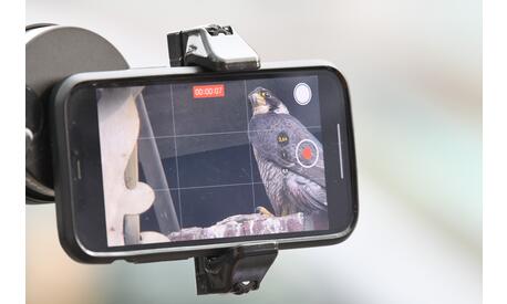 Foto 3 Door uw smartphone aan de telescoop te koppelen, kunt u de valkjes die op de klokkentoren rusten observeren en filmen!